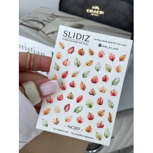 Слайдер Slidiz NC017