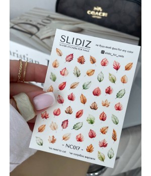 Слайдер Slidiz NC017